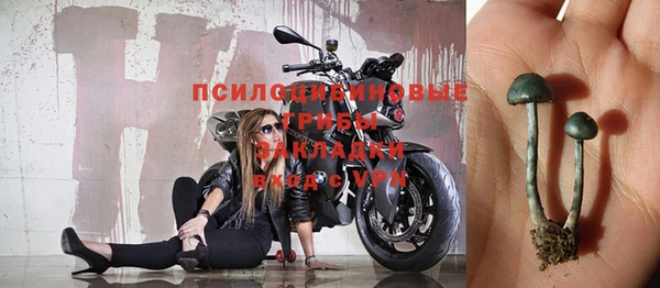 винт Кукмор