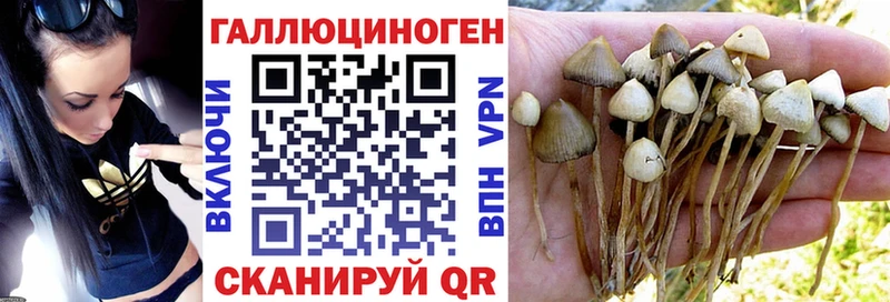 Псилоцибиновые грибы MAGIC MUSHROOMS что такое дарк нет Telegram Брюховецкая