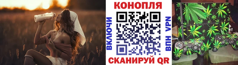 купить наркотики сайты  Брюховецкая  МАРИХУАНА OG Kush 